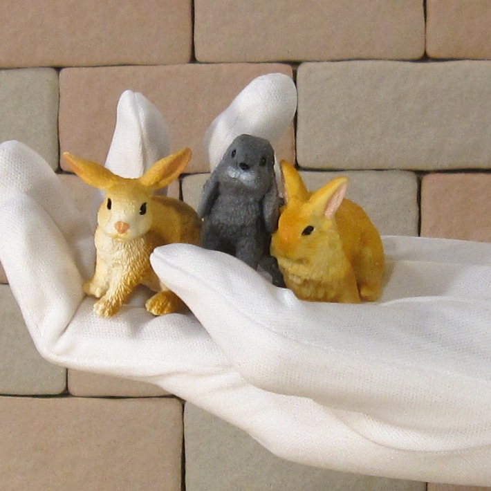 �ꥢ��ʡ�����������ʪ����ӥåȡ��������åȡ������������֥������ɡ��롡�ե����奢�������ǥ˥󥰡��ߥ˥��奢������ƥꥢ