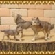 �ꥢ��ʡ�ϵ����ʪ���������ߤοƻҡ��������åȡ��ɡ��롡�ե����奢�������ǥ˥󥰡��������ߡ�����ա��ߥ˥��奢������ƥꥢ