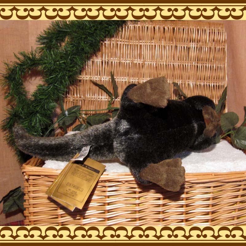 ���臘���������ף¡��ꥢ��ʥ��復���Τ̤������