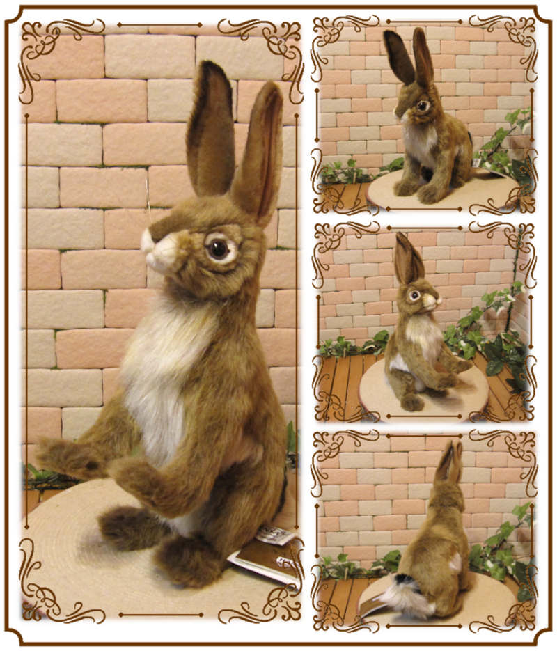 ����å���ӥåȡ��ꥢ��ʥ������Τ̤�����ߡ�