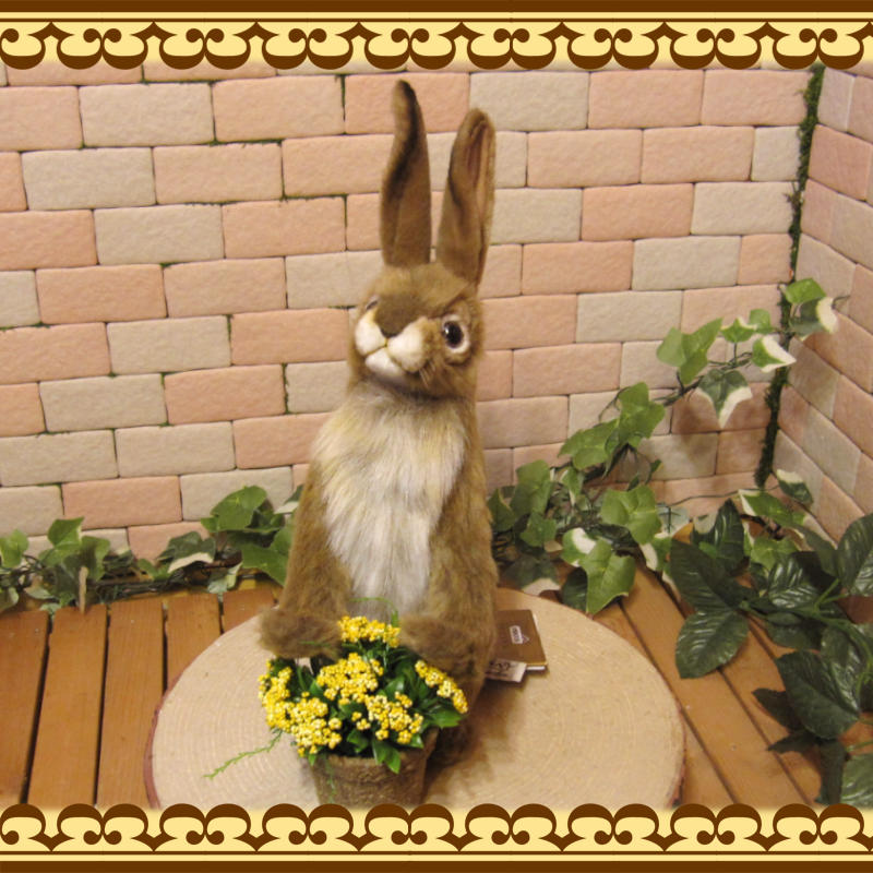 ����å���ӥåȡ��ꥢ��ʥ������Τ̤�����ߡ�