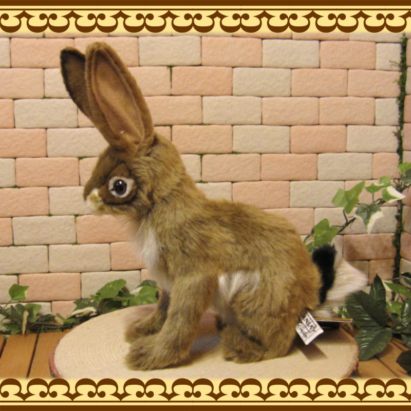 ����å���ӥåȡ��ꥢ��ʥ������Τ̤�����ߡ�