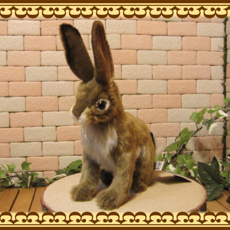 ����å���ӥåȡ��ꥢ��ʥ������Τ̤�����ߡ�