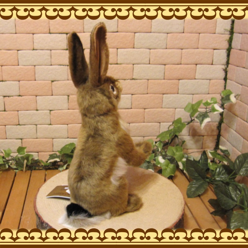 ����å���ӥåȡ��ꥢ��ʥ������Τ̤�����ߡ�