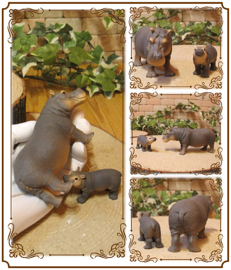�ꥢ��ʡ����Ф���ʪ�����пƻҡ��������åȡ��ɡ��롡�ե����奢�������ǥ˥󥰡��ߥ˥��奢������ƥꥢ