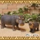 �ꥢ��ʡ����Ф���ʪ�����пƻҡ��������åȡ��ɡ��롡�ե����奢�������ǥ˥󥰡��ߥ˥��奢������ƥꥢ