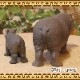�ꥢ��ʡ����Ф���ʪ�����пƻҡ��������åȡ��ɡ��롡�ե����奢�������ǥ˥󥰡��ߥ˥��奢������ƥꥢ
