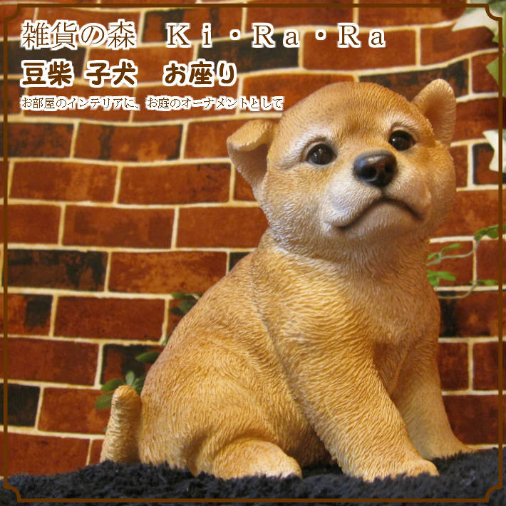 ƸʪƦơҤ̡¤ꡡBס̥֥ե奢ǥ˥󥰡ΥƥꥢˤΥʥȤȤƤ