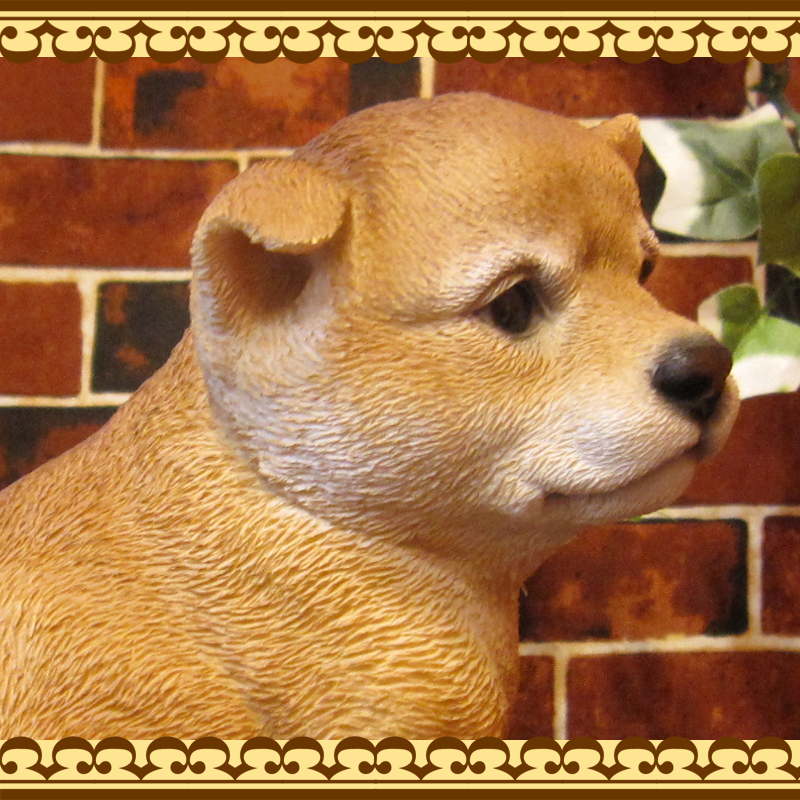 ƸʪƦơҤ̡¤ꡡBס̥֥ե奢ǥ˥󥰡ΥƥꥢˤΥʥȤȤƤ