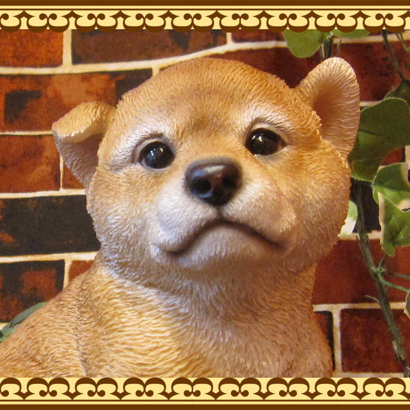 ƸʪƦơҤ̡¤ꡡBס̥֥ե奢ǥ˥󥰡ΥƥꥢˤΥʥȤȤƤ