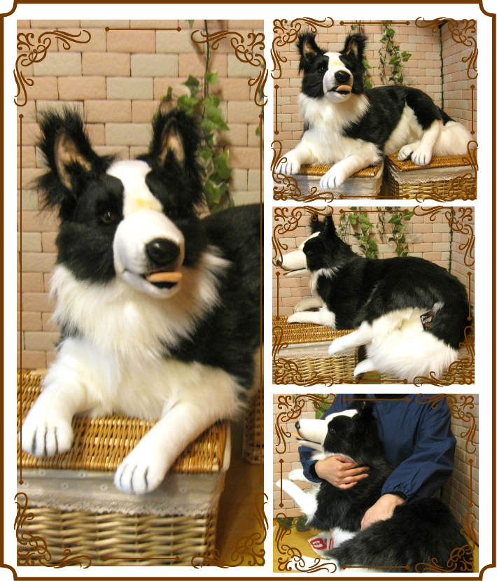 �ܡ��������꡼���ӥå����������ɥå����֥������礭���ƥꥢ��ʸ��Τ̤�����ߡ����̤���ʪ�����̤Υե����奢������ƥꥢ��