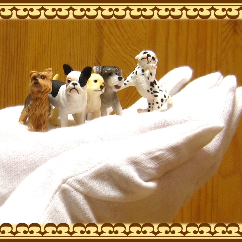 �ꥢ��ʡ�������ʪ���ɥå����Ҹ��������åȡ�������ǥ�ȥ�С����衼�����㡼�ƥꥢ���ե����֥�ɥå�������ʥ�����������᥷���󡡥ɡ��롡�ե����奢�������ǥ˥󥰡��ߥ˥��奢������ƥꥢ