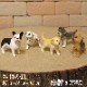 �ꥢ��ʡ�������ʪ���ɥå����Ҹ��������åȡ�������ǥ�ȥ�С����衼�����㡼�ƥꥢ���ե����֥�ɥå�������ʥ�����������᥷���󡡥ɡ��롡�ե����奢�������ǥ˥󥰡��ߥ˥��奢������ƥꥢ