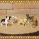 �ꥢ��ʡ�������ʪ���ɥå����Ҹ��������åȡ�������ǥ�ȥ�С����衼�����㡼�ƥꥢ���ե����֥�ɥå�������ʥ�����������᥷���󡡥ɡ��롡�ե����奢�������ǥ˥󥰡��ߥ˥��奢������ƥꥢ