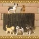 �ꥢ��ʡ�������ʪ���ɥå����Ҹ��������åȡ�������ǥ�ȥ�С����衼�����㡼�ƥꥢ���ե����֥�ɥå�������ʥ�����������᥷���󡡥ɡ��롡�ե����奢�������ǥ˥󥰡��ߥ˥��奢������ƥꥢ