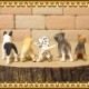�ꥢ��ʡ�������ʪ���ɥå����Ҹ��������åȡ�������ǥ�ȥ�С����衼�����㡼�ƥꥢ���ե����֥�ɥå�������ʥ�����������᥷���󡡥ɡ��롡�ե����奢�������ǥ˥󥰡��ߥ˥��奢������ƥꥢ