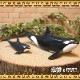 �ꥢ��ʡ����������ʪ��������ƻҡ��������åȡ��ϡ��ɡ��롡�ե����奢�������ǥ˥󥰡��ߥ˥��奢������ƥꥢ