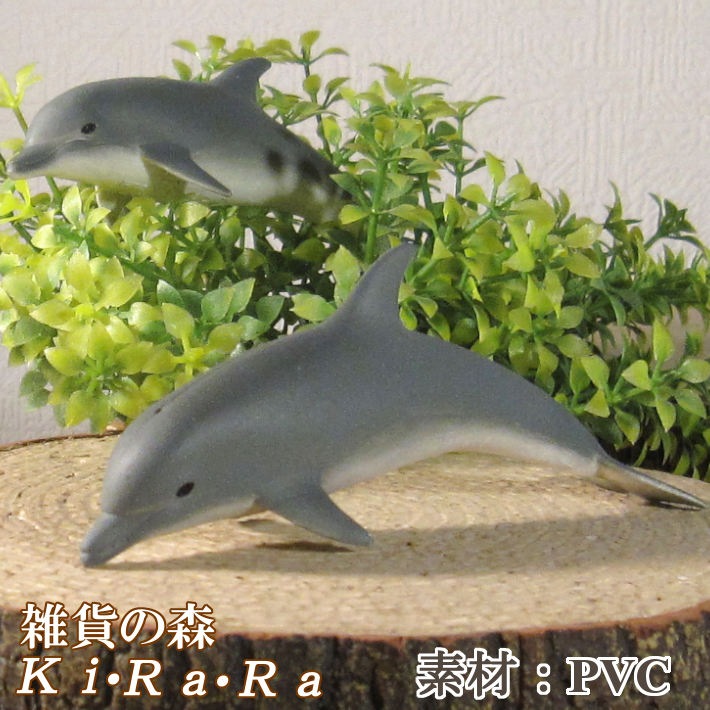 �ꥢ��ʡ����륫����ʪ���������åȡ��ɡ��롡�ե����奢�������ǥ˥󥰡��ߥ˥��奢������ƥꥢ
