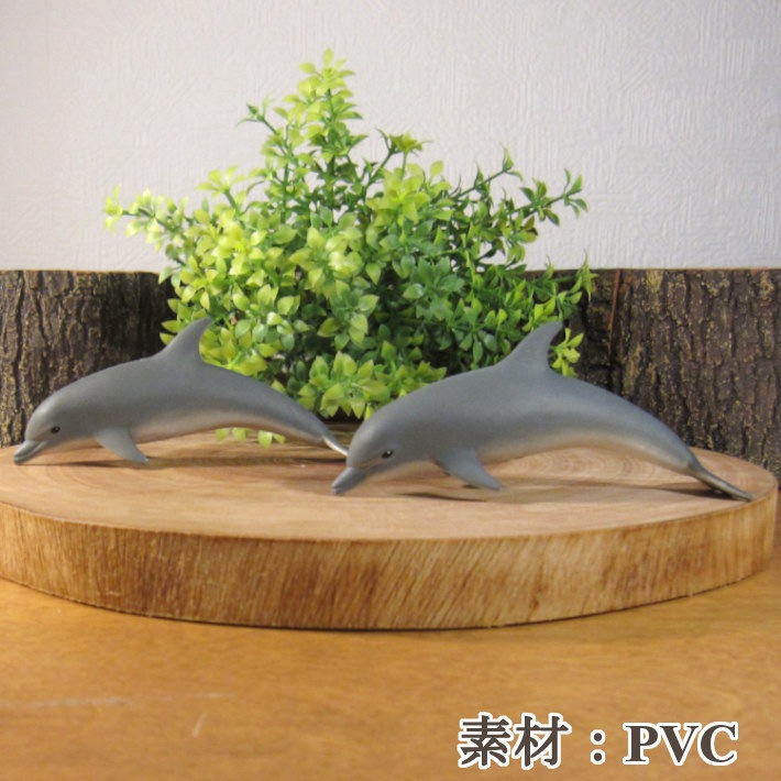 �ꥢ��ʡ����륫����ʪ���������åȡ��ɡ��롡�ե����奢�������ǥ˥󥰡��ߥ˥��奢������ƥꥢ