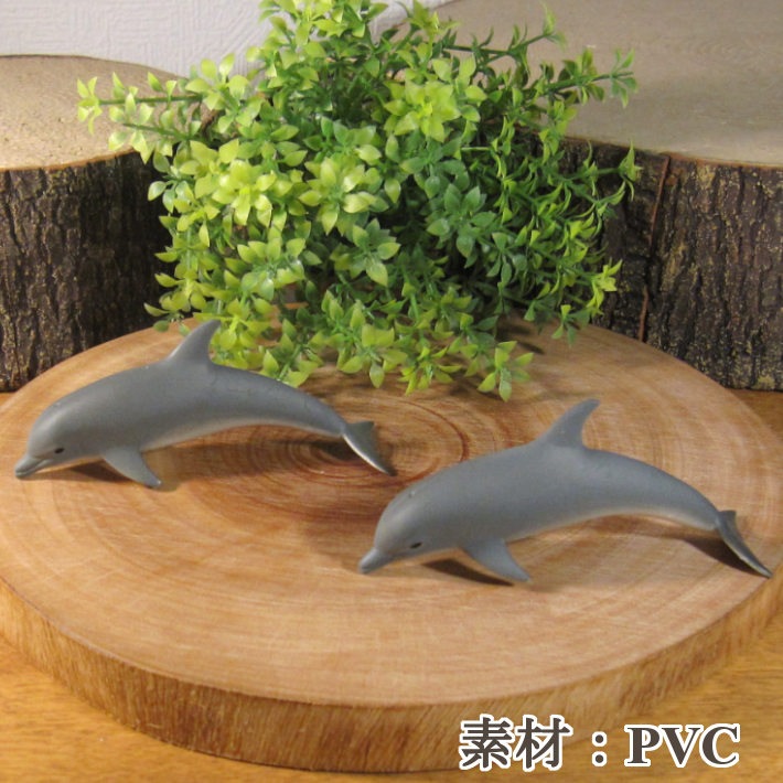 �ꥢ��ʡ����륫����ʪ���������åȡ��ɡ��롡�ե����奢�������ǥ˥󥰡��ߥ˥��奢������ƥꥢ
