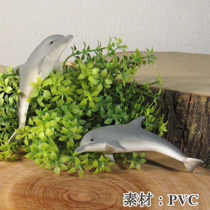 �ꥢ��ʡ����륫����ʪ���������åȡ��ɡ��롡�ե����奢�������ǥ˥󥰡��ߥ˥��奢������ƥꥢ
