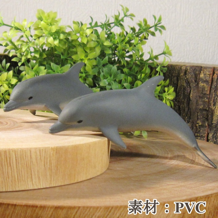 �ꥢ��ʡ����륫����ʪ���������åȡ��ɡ��롡�ե����奢�������ǥ˥󥰡��ߥ˥��奢������ƥꥢ