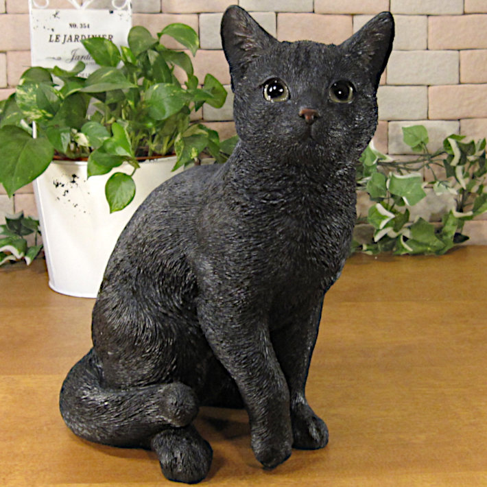 �ꥢ���ǭ����ʪ����ǭ�����¤ꡡ�ͥ����ͤ�������åȡ����֥�����Ź��������������������ƥꥢ�������ǥ˥󥰡��Ǻࡡ�٥���������