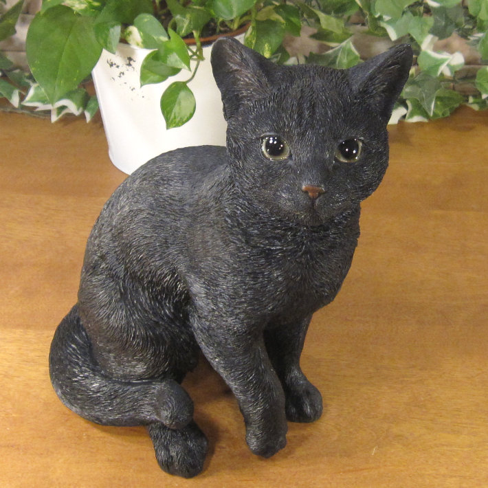 �ꥢ���ǭ����ʪ����ǭ�����¤ꡡ�ͥ����ͤ�������åȡ����֥�����Ź��������������������ƥꥢ�������ǥ˥󥰡��Ǻࡡ�٥���������