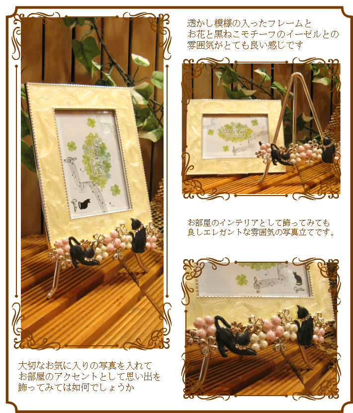 ���֤ȹ��ͤ�������դΥ������뤬�ݥ���ȡ���ǭ������դμ̿�Ω�ơ��������ͥ��ե��ȥե졼�ࡡ�������륿���ס������ܥ꡼