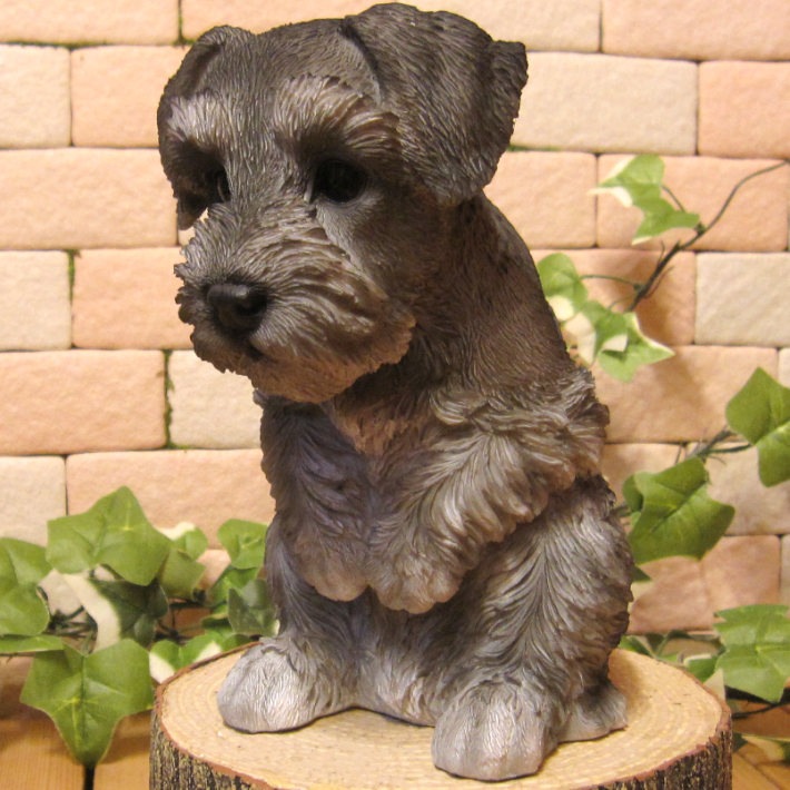 �ꥢ��ʸ�����ʪ������Ƥʤ����ɥå�������ʥ������������̤Υ��֥��������̤Υե��������������Υ���ƥꥢ�ˤ����Υ����ʥ��ȤȤ��Ƥ����