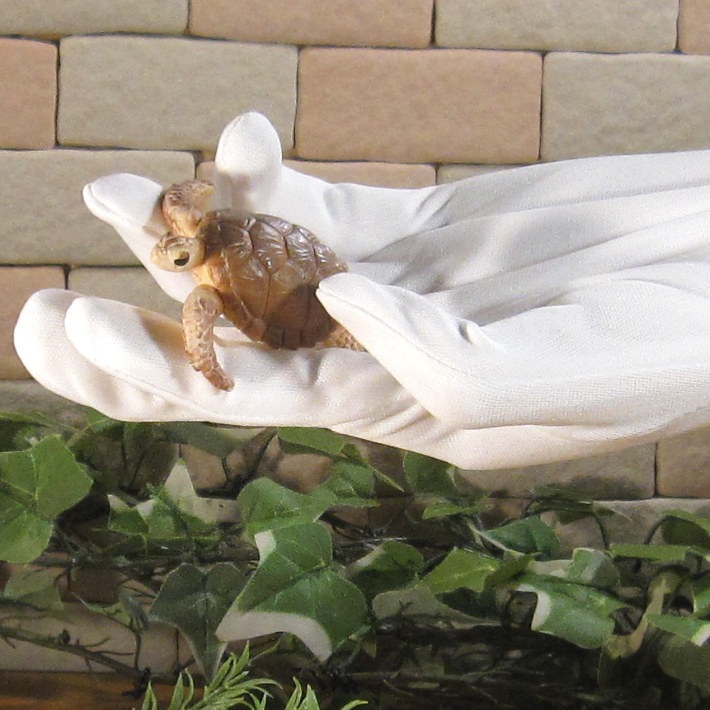 �ꥢ��ʡ�������ʪ�����ߥ��ᡡ�������åȡ����������ߤ��ᡡ����ࡡ�ɡ��롡�ե����奢�������ǥ˥󥰡������ߥ˥��奢������ƥꥢ