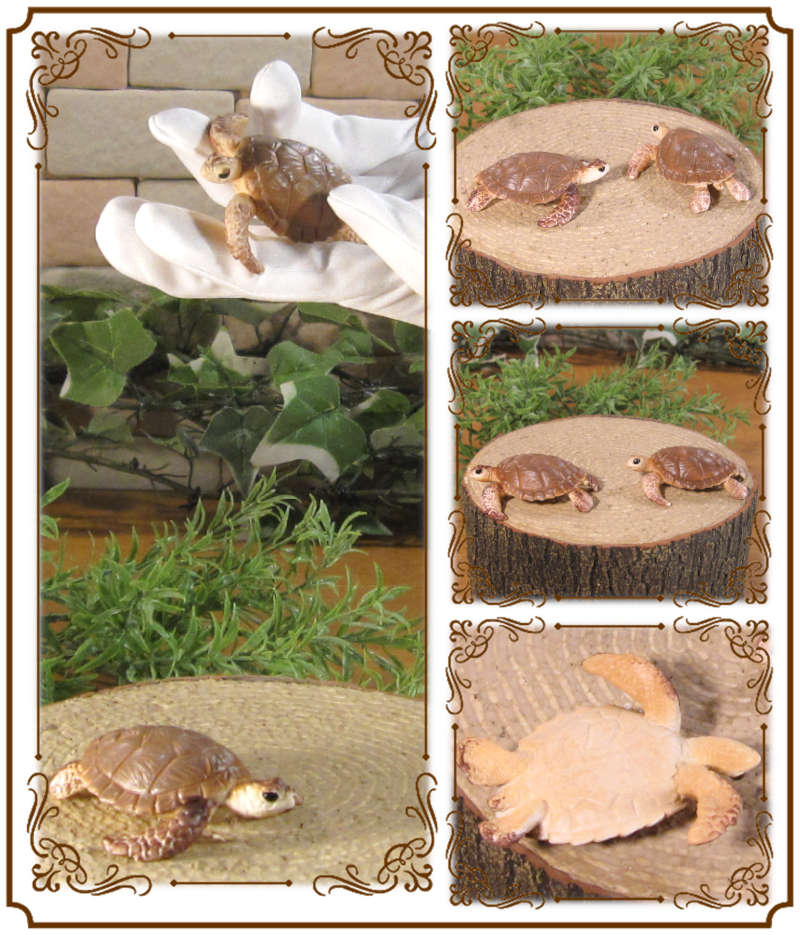 �ꥢ��ʡ�������ʪ�����ߥ��ᡡ�������åȡ����������ߤ��ᡡ����ࡡ�ɡ��롡�ե����奢�������ǥ˥󥰡������ߥ˥��奢������ƥꥢ