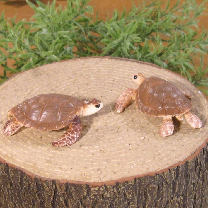 �ꥢ��ʡ�������ʪ�����ߥ��ᡡ�������åȡ����������ߤ��ᡡ����ࡡ�ɡ��롡�ե����奢�������ǥ˥󥰡������ߥ˥��奢������ƥꥢ