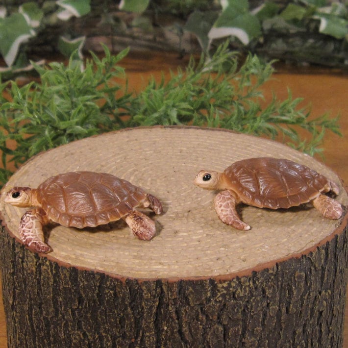 �ꥢ��ʡ�������ʪ�����ߥ��ᡡ�������åȡ����������ߤ��ᡡ����ࡡ�ɡ��롡�ե����奢�������ǥ˥󥰡������ߥ˥��奢������ƥꥢ