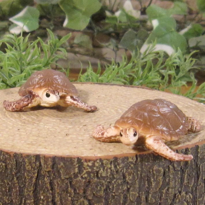 �ꥢ��ʡ�������ʪ�����ߥ��ᡡ�������åȡ����������ߤ��ᡡ����ࡡ�ɡ��롡�ե����奢�������ǥ˥󥰡������ߥ˥��奢������ƥꥢ