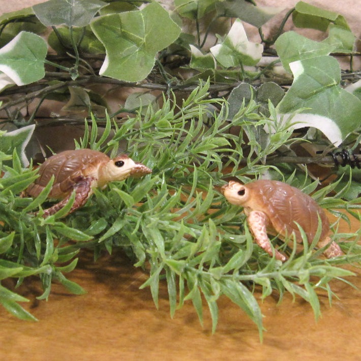 �ꥢ��ʡ�������ʪ�����ߥ��ᡡ�������åȡ����������ߤ��ᡡ����ࡡ�ɡ��롡�ե����奢�������ǥ˥󥰡������ߥ˥��奢������ƥꥢ