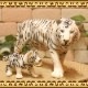 �ꥢ��ʡ��ȥ����ʪ���ۥ磻�ȥ��������οƻҡ��������åȡ��¥����ס��ס��Ȥ顡�ҡ����١��ﵯʪ���ɡ��롡�ե����奢�������ǥ˥󥰡��Ȥ顡�����������ߥ˥��奢������ƥꥢ