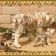 �ꥢ��ʡ��ȥ����ʪ���ۥ磻�ȥ��������οƻҡ��������åȡ��¥����ס��ס��Ȥ顡�ҡ����١��ﵯʪ���ɡ��롡�ե����奢�������ǥ˥󥰡��Ȥ顡�����������ߥ˥��奢������ƥꥢ