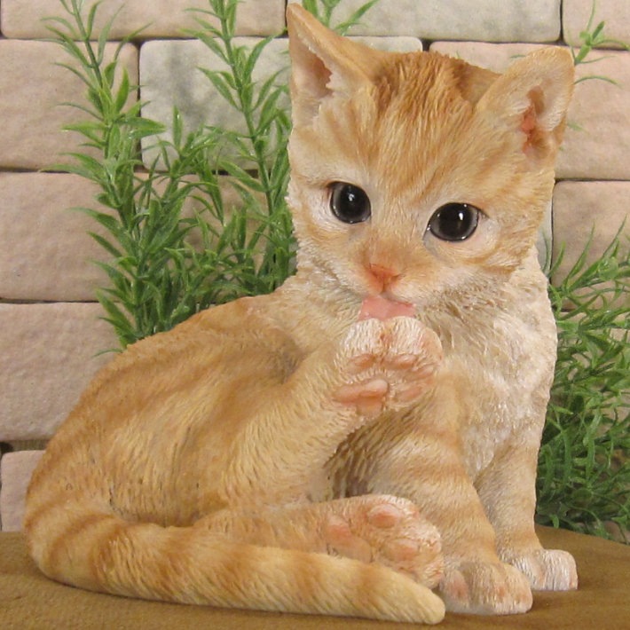 �ꥢ���ǭ����ʪ������åȡ��ӤŤ�����������ȥ顡�ͤ���ưʪ���֥����������ǥ󡡥����ʥ��ȡ�Ź�ޡ������󥿡������������֥���������ƥꥢ�������衡��