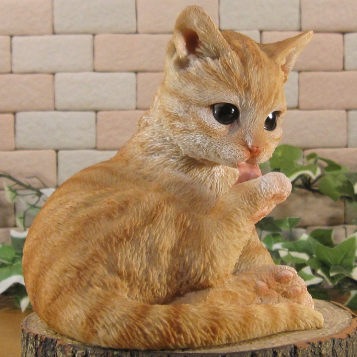 �ꥢ���ǭ����ʪ������åȡ��ӤŤ�����������ȥ顡�ͤ���ưʪ���֥����������ǥ󡡥����ʥ��ȡ�Ź�ޡ������󥿡������������֥���������ƥꥢ�������衡��