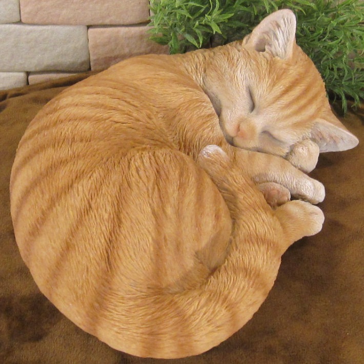 �ꥢ���ǭ����ʪ�����꡼�ԥ󥰥���åȡ�����ȥ顡���ͤ���ưʪ���֥����������ǥ󡡥����ʥ��ȡ�Ź�ޡ������󥿡������������֥���������ƥꥢ�������衡��