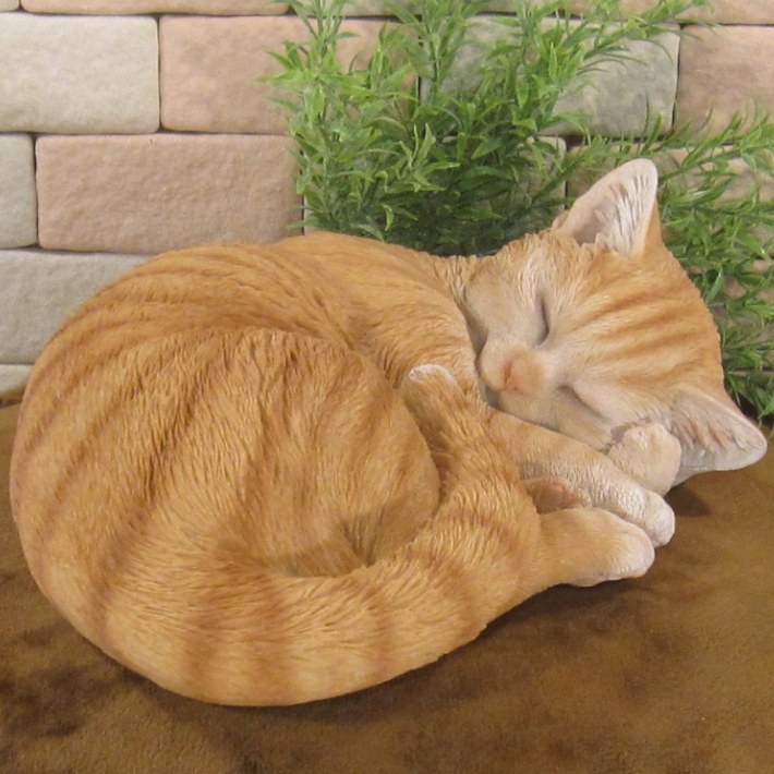 �ꥢ���ǭ����ʪ�����꡼�ԥ󥰥���åȡ�����ȥ顡���ͤ���ưʪ���֥����������ǥ󡡥����ʥ��ȡ�Ź�ޡ������󥿡������������֥���������ƥꥢ�������衡��