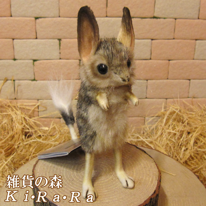 �ꥢ���ưʪ�Τ̤�����ߡ��ȥӥͥ��ߡ�������ɡ��ͤ��ߤ���ʪ����åȡ����֥���������ƥꥢ