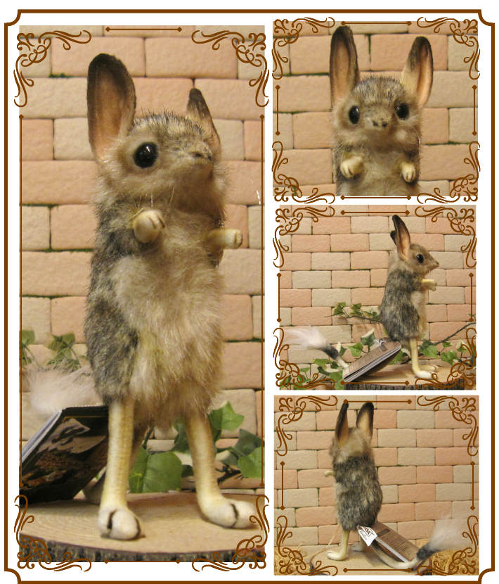 �ꥢ���ưʪ�Τ̤�����ߡ��ȥӥͥ��ߡ�������ɡ��ͤ��ߤ���ʪ����åȡ����֥���������ƥꥢ