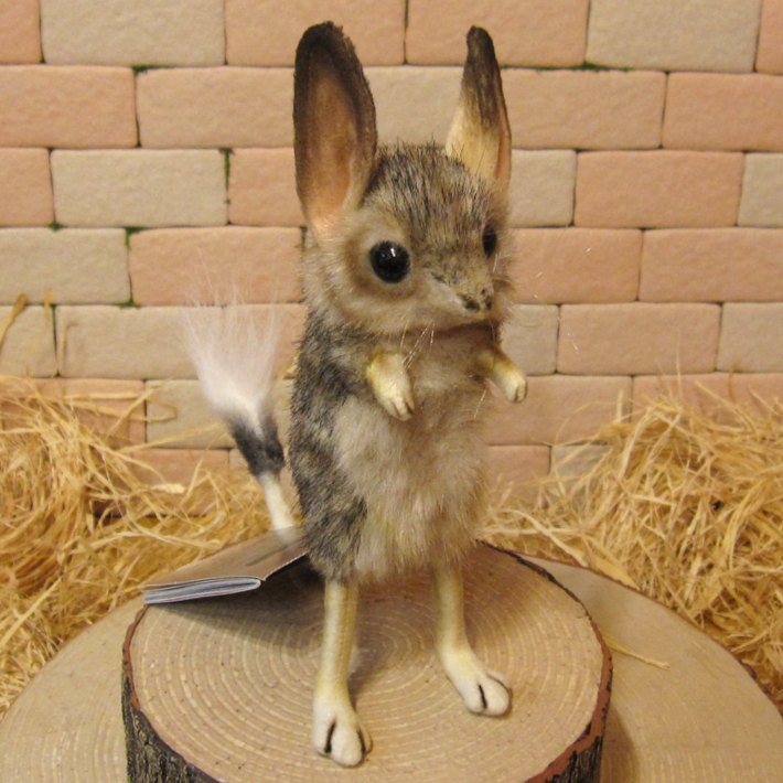 �ꥢ���ưʪ�Τ̤�����ߡ��ȥӥͥ��ߡ�������ɡ��ͤ��ߤ���ʪ����åȡ����֥���������ƥꥢ