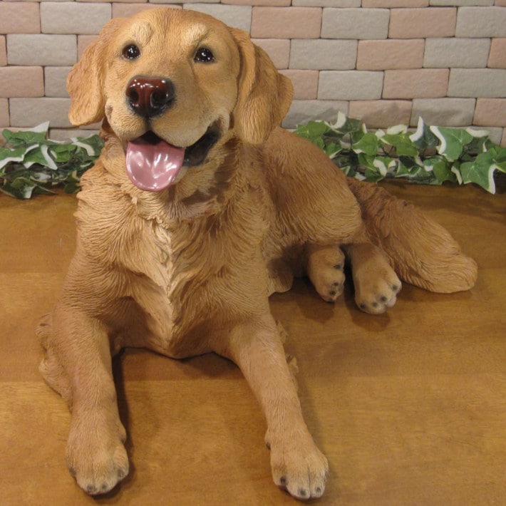 ������ǥ��ȥ�С��������������٤ꡡ�ӥå����������礭���ƥꥢ��ʥ��̤���ʪ���ɥå����֥��������������ǥ˥󥰡��������Υ���ƥꥢ�ˤ����Υ����ʥ��ȤȤ��Ƥ����