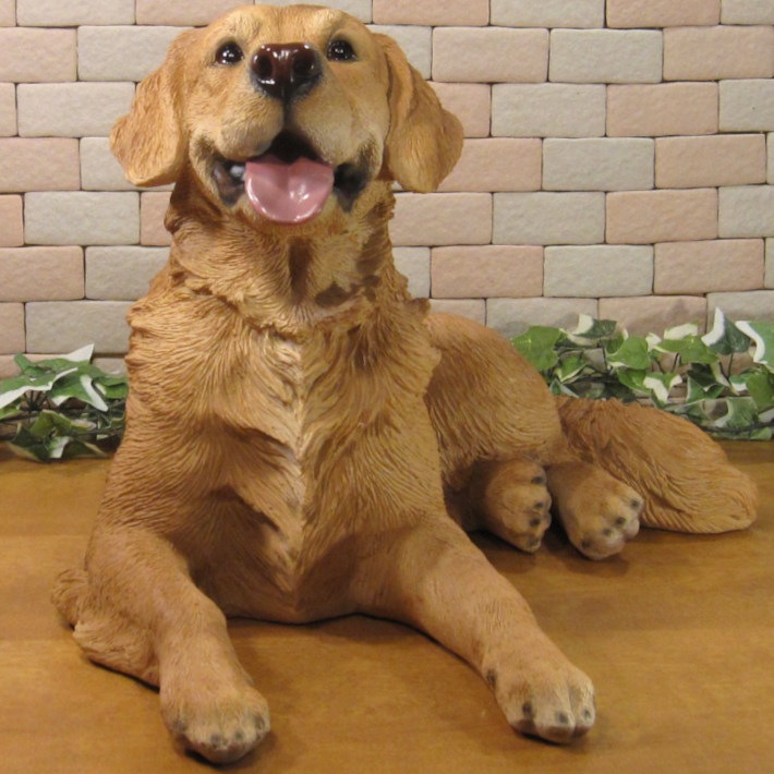 ������ǥ��ȥ�С��������������٤ꡡ�ӥå����������礭���ƥꥢ��ʥ��̤���ʪ���ɥå����֥��������������ǥ˥󥰡��������Υ���ƥꥢ�ˤ����Υ����ʥ��ȤȤ��Ƥ����