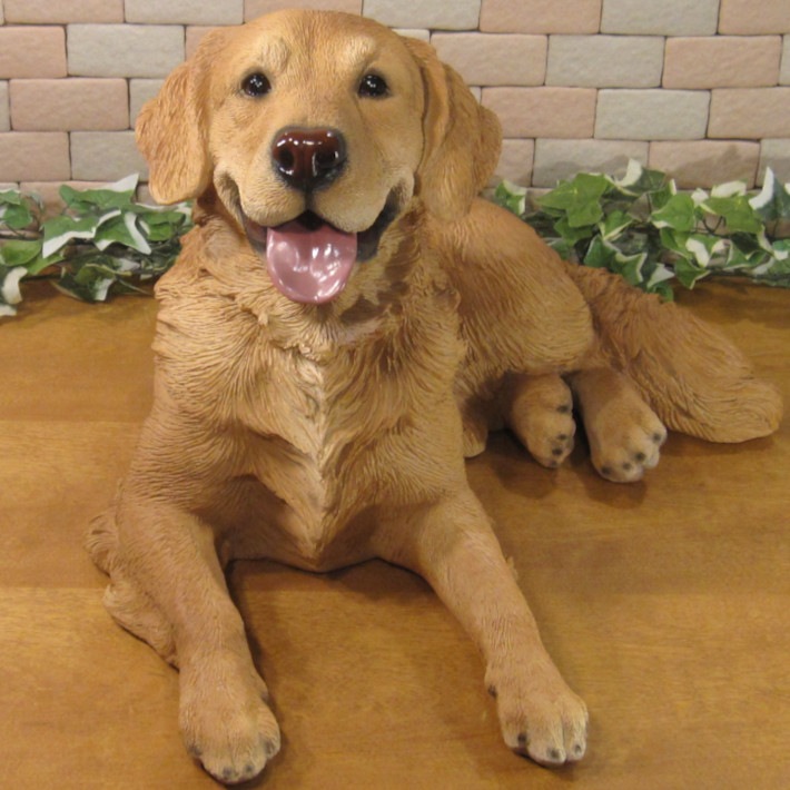 ������ǥ��ȥ�С��������������٤ꡡ�ӥå����������礭���ƥꥢ��ʥ��̤���ʪ���ɥå����֥��������������ǥ˥󥰡��������Υ���ƥꥢ�ˤ����Υ����ʥ��ȤȤ��Ƥ����