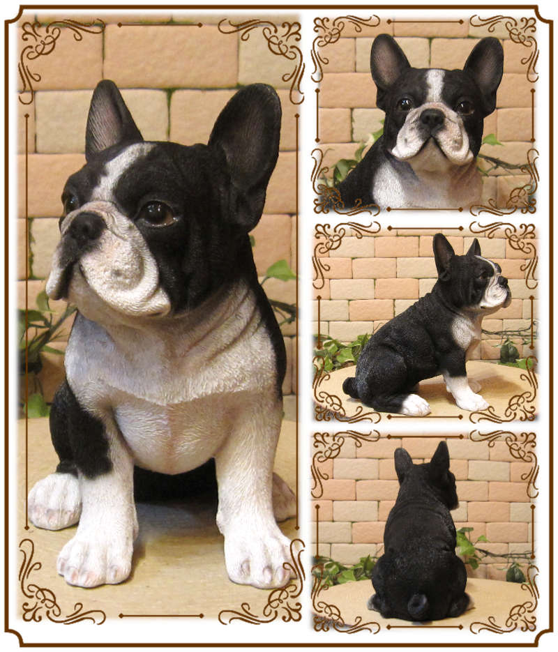 �ꥢ��ʸ�����ʪ���ե����֥�ɥå����֥�å����ۥ磻�ȡ�����  ���¤� ���̤Υե����������֥������ե��奢�������ǥ˥󥰡��٥��������ȡ�