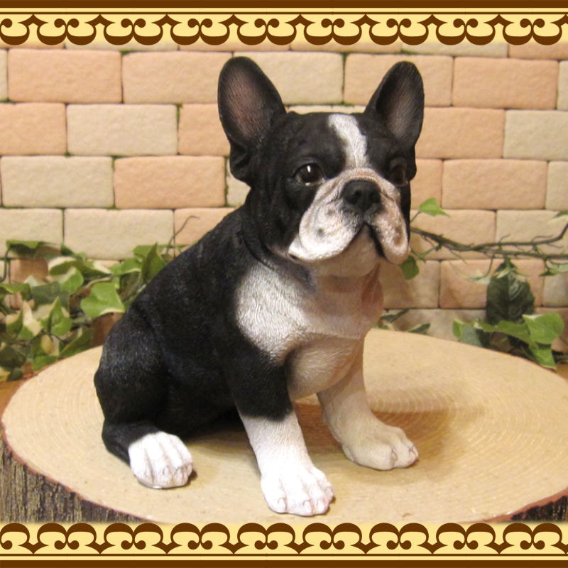 �ꥢ��ʸ�����ʪ���ե����֥�ɥå����֥�å����ۥ磻�ȡ�����  ���¤� ���̤Υե����������֥������ե��奢�������ǥ˥󥰡��٥��������ȡ�